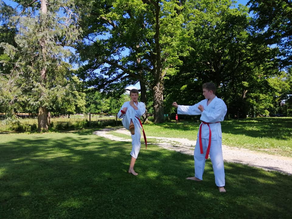 Die Schwerpunkte im Taekwon-Do Training: Gibon Tongschak